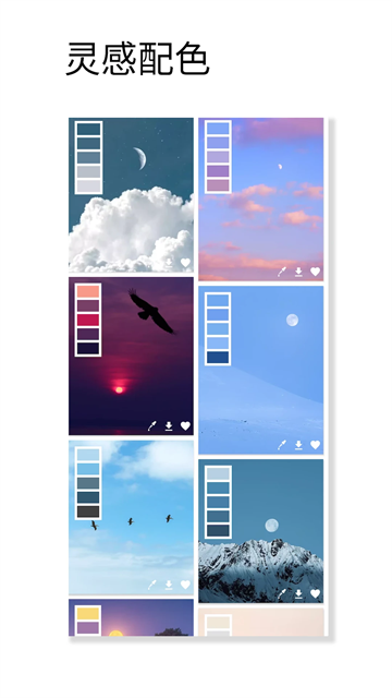 观色配色app3
