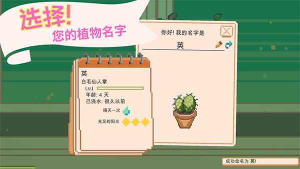 Window Garden截图1