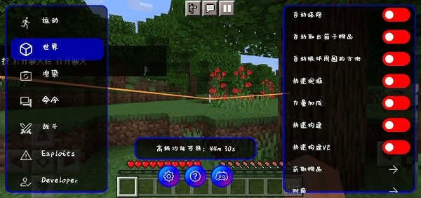 我的世界修改器(ToolMcFRZ)5