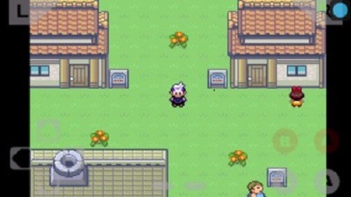 口袋妖怪绿宝石修改器1