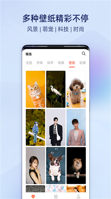 vivo主题商店app2