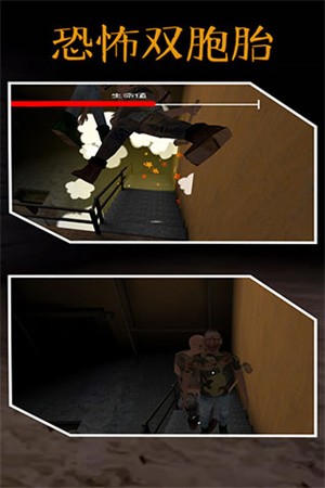 恐怖双胞胎重制版截图4