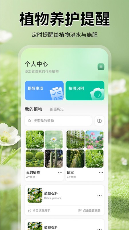 猫满花语app4