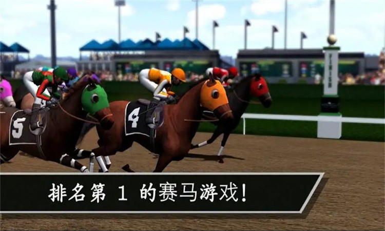 赛马赢得杯赛挑战体力版1