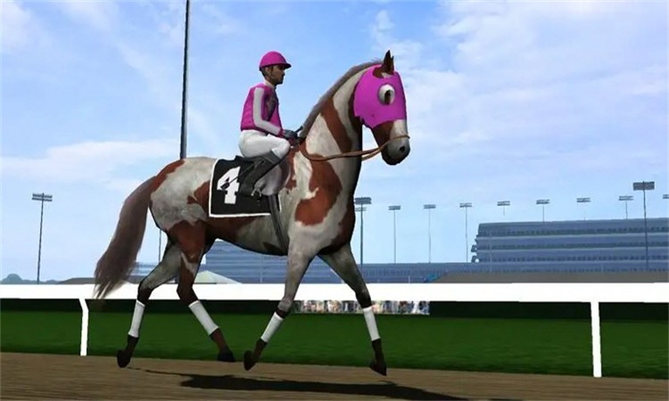 赛马赢得杯赛挑战体力版3