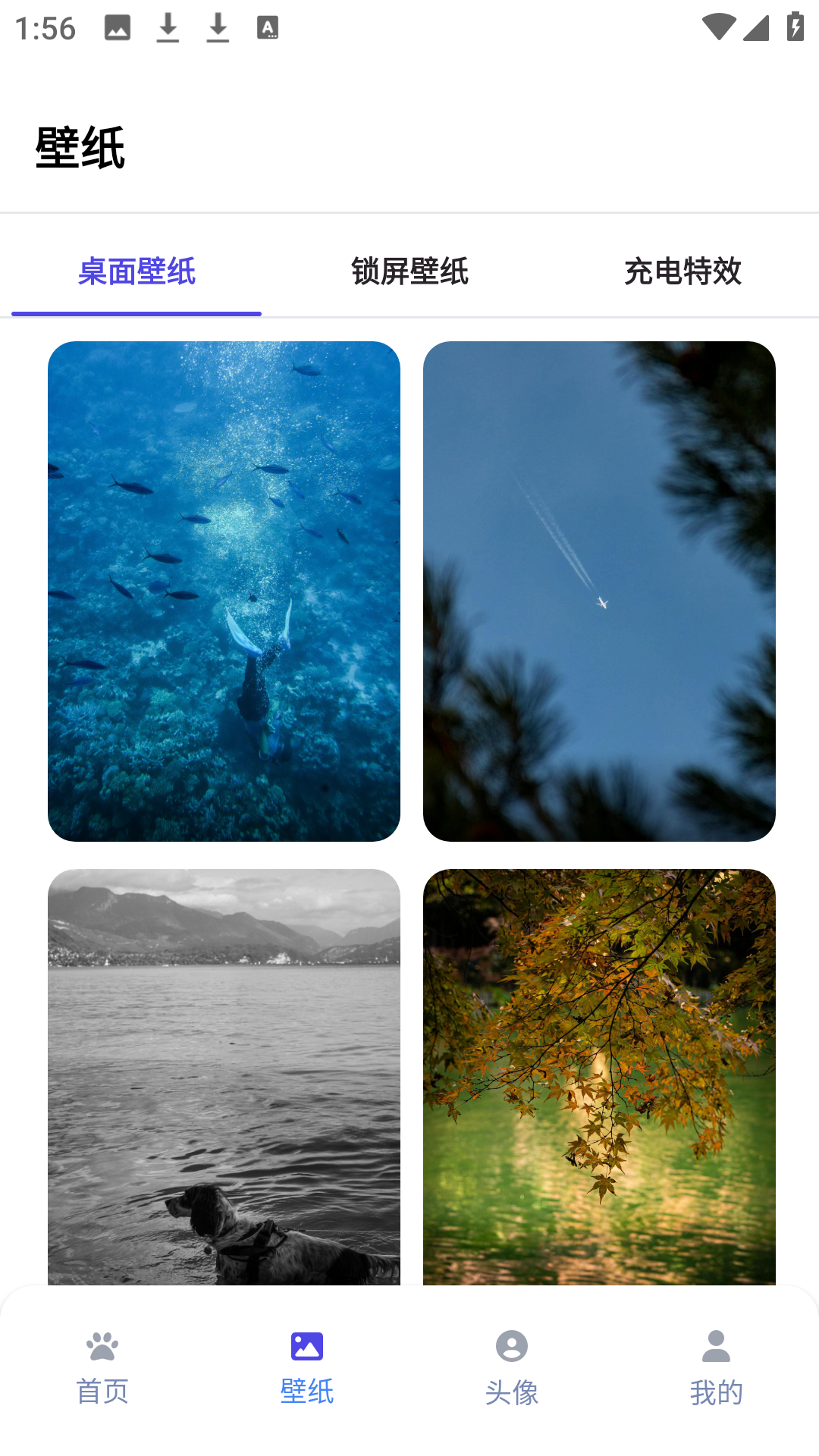 shimeji桌宠截图4