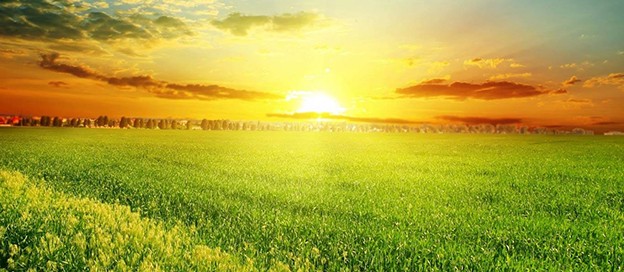 手机护眼软件合集-屏幕护眼app大全-夜间护眼软件排行榜