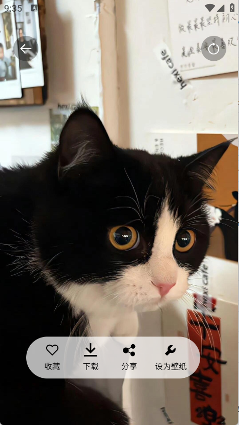 安卓随心手机壁纸app 标准版软件下载