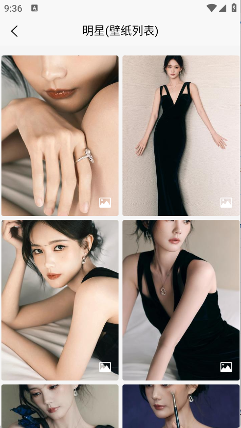 随心手机壁纸app 标准版