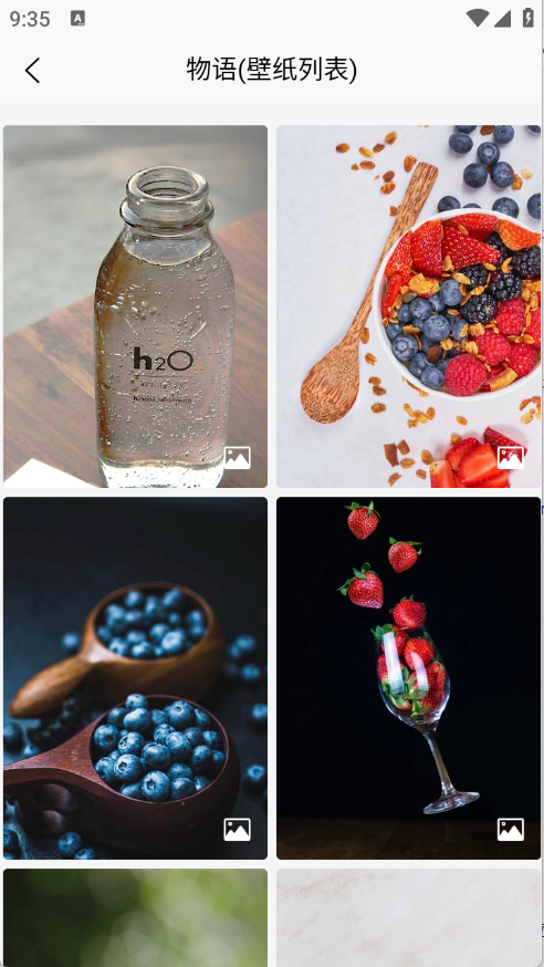 随心手机壁纸app 标准版下载