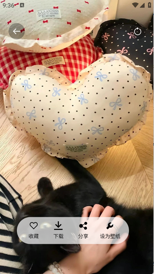 安卓随心手机壁纸app 标准版app