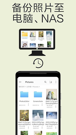 猫头鹰文件截图3