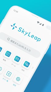SkyLeap2