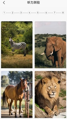 安卓英语分级兔app 免费版app