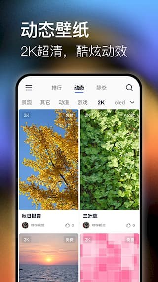 极壁纸app4