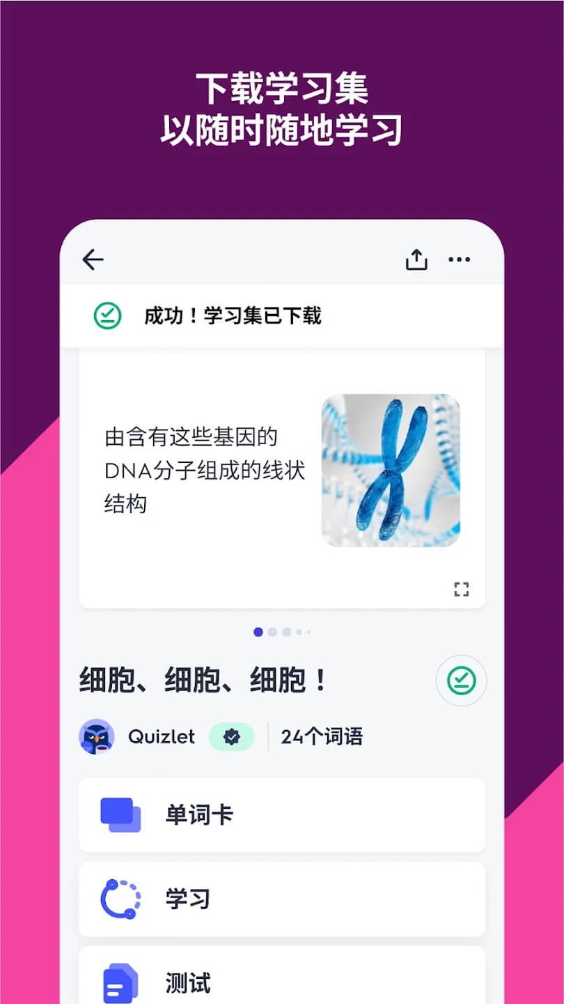 Quizlet截图2