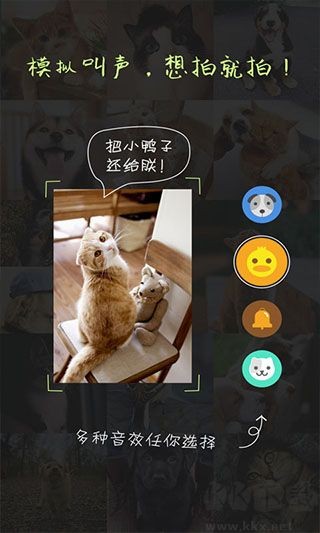 萌宠相机app1