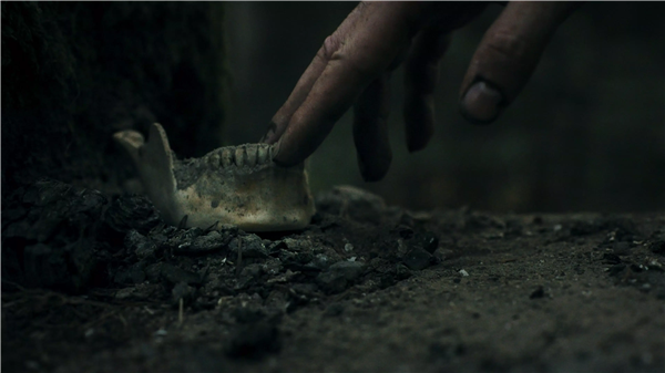 幽林深处手机版4