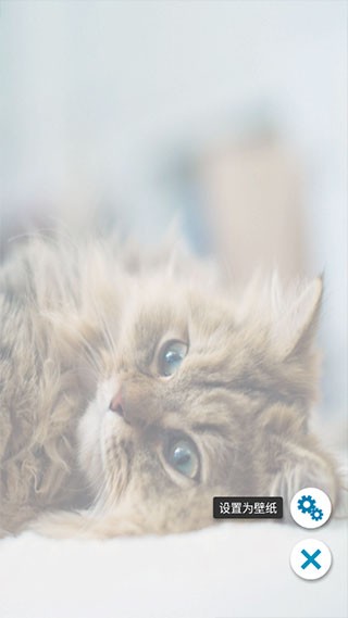 铃声壁纸大全app1