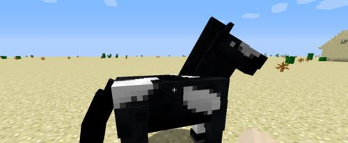 怎么驯服马截图1