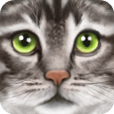 终极猫模拟器无限技能版
