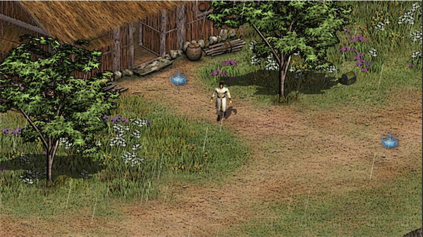 英雄群侠传2破解版10