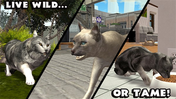 终极猫模拟器中文版4