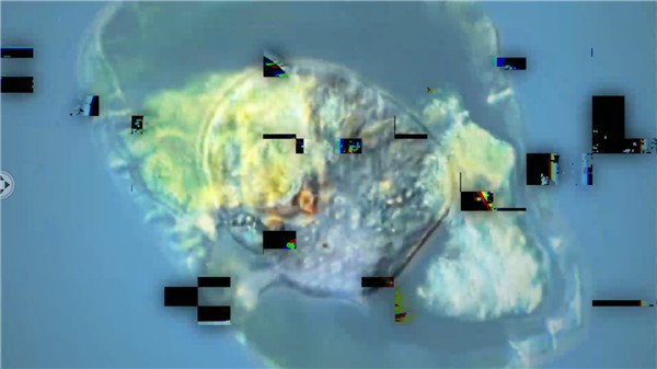 孢子模拟器中文版3