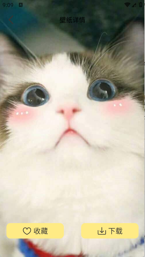 萌巨壁纸app2