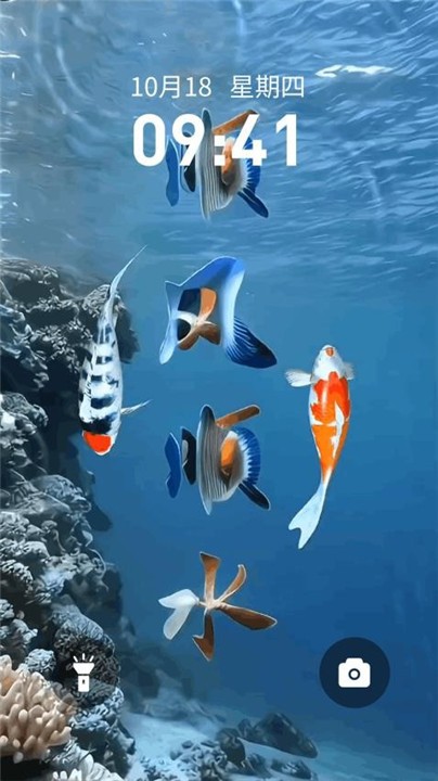 锦鲤金鱼壁纸app4