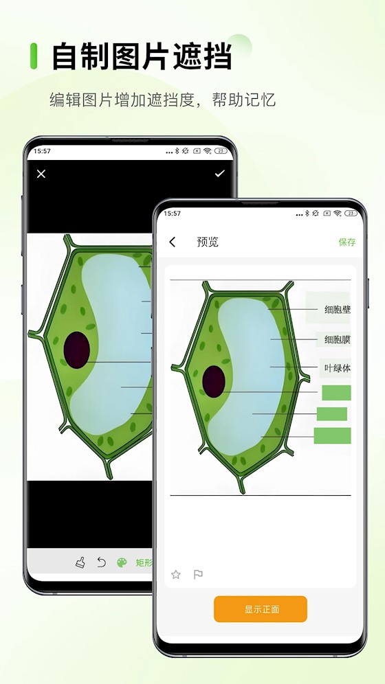 Anymo截图3