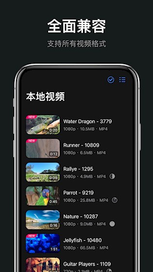 rPlayer-VR播放器5