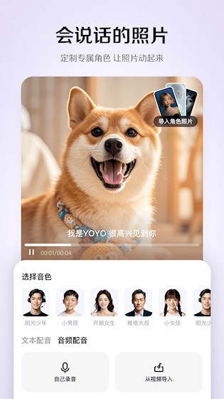 小云雀2