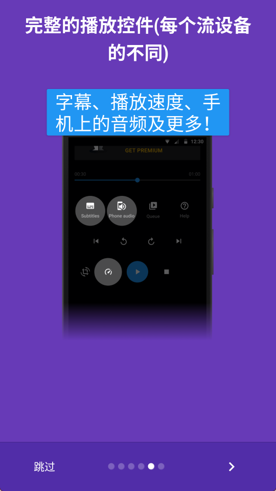 Web Video Caster5