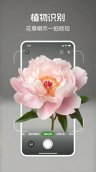 识花君截图1
