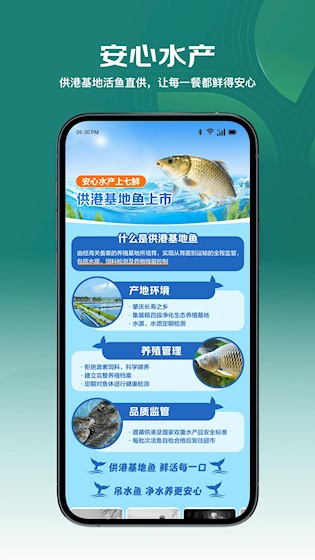 七鲜3