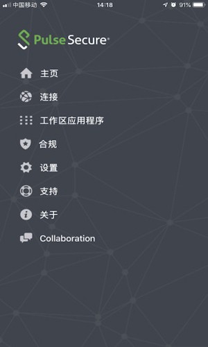 Secure Access截图1