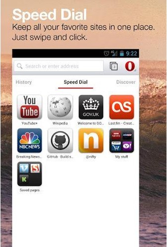 Opera beta截图2