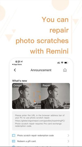 Remini3