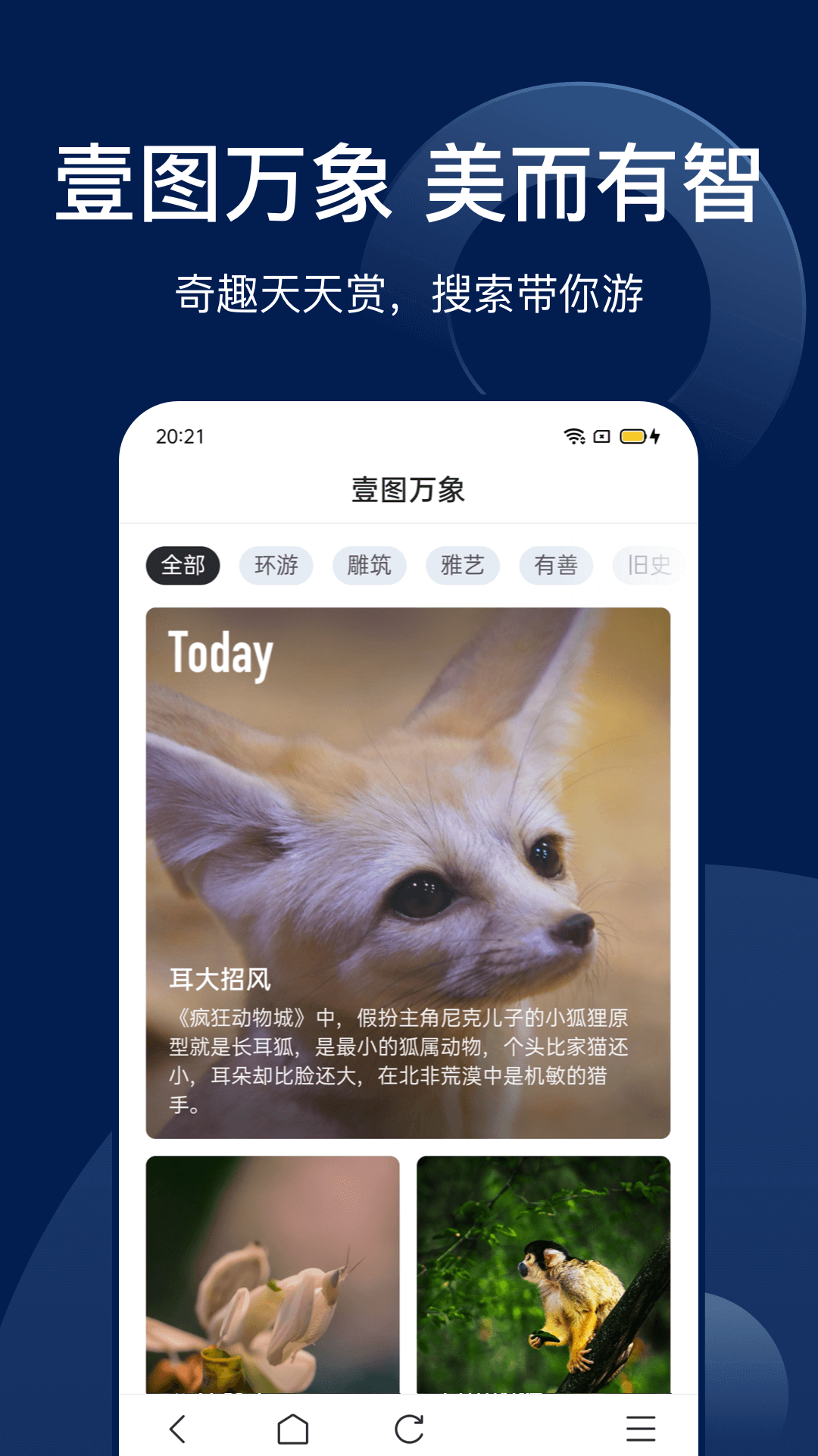 Bingo截图4