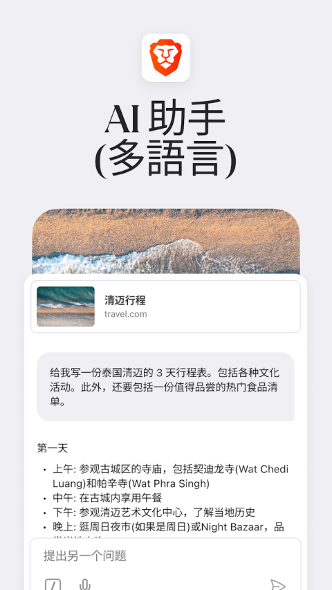 Brave浏览器截图2