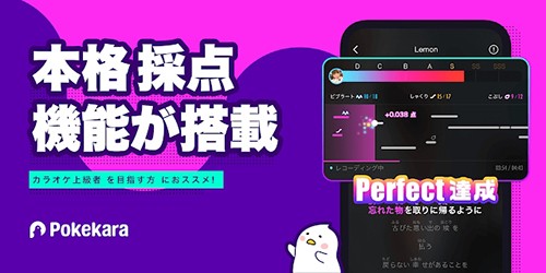 Pokekara截图1