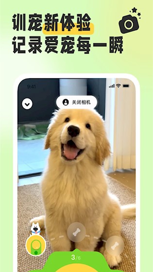 尾巴纪元4