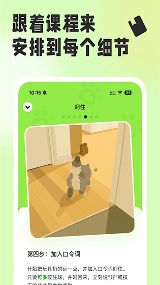 尾巴纪元2