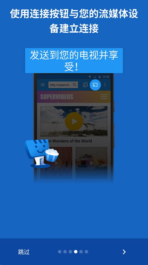 web video caster截图1