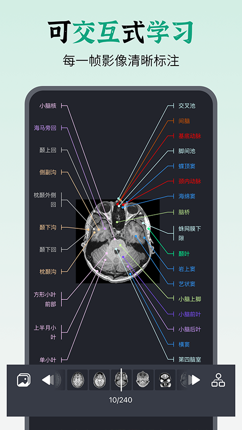万康人体解剖app截图4
