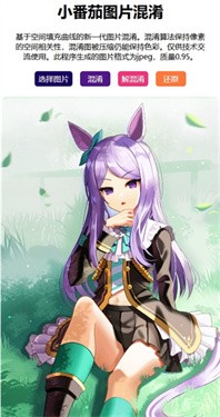 小番茄图片混淆工具app截图1