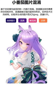 小番茄图片混淆工具app截图2