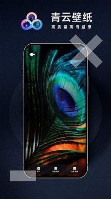 青云壁纸app截图2
