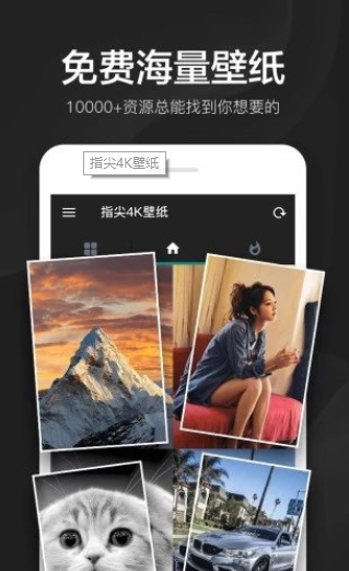 指尖4K壁纸app截图2